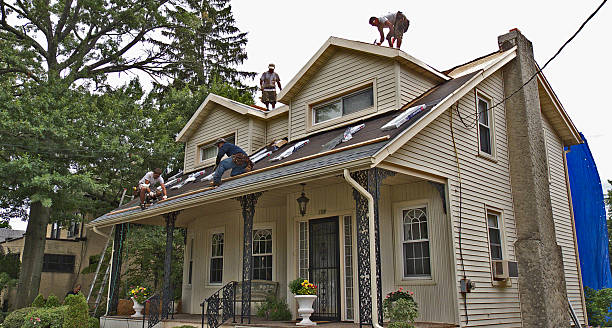 Best Metal Roofing Contractor  in North Fork, AZ